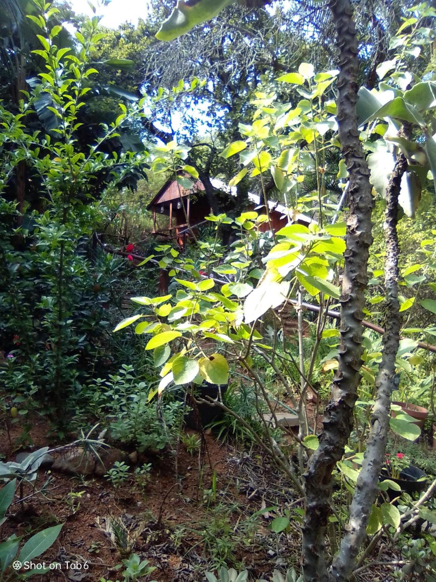Pumba'S Lookout Villa Barberton Buitenkant foto